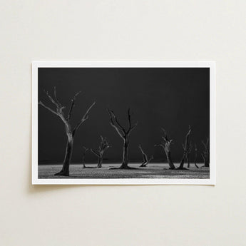 Acacia Trees of Deadvlei Art Print / Canvas Skeletal, Namib-naukluft Park, Salt-white Clay Prints