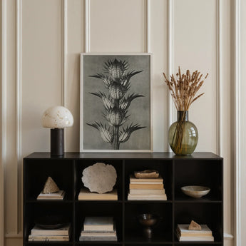 Acanthus Mollis (bear’s Breeches) - Karl Blossfeldt Art Print / Canvas, Posters Prints & Visual Artwork, Toby Leon