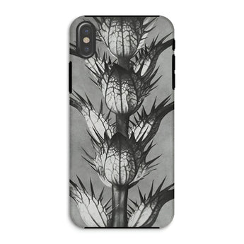 Acanthus Mollis (bear’s Breeches) - Karl Blossfeldt Phone Case Iphone Xs / Matte Thistle-patterned Phone Case Karl Blossfeldt, Bear’s