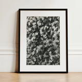 Achillea Millefolium (common Yarrow) - Karl Blossfeldt Art Print / Canvas, 12x16’’ / 31x41cm / Black Frame / Matboard, Posters Prints &
