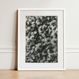 Achillea Millefolium (common Yarrow) - Karl Blossfeldt Art Print / Canvas, 12x16’’ / 31x41cm / White Frame / Matboard, Posters Prints &