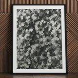 Achillea Millefolium (common Yarrow) - Karl Blossfeldt Art Print / Canvas Black-framed Dense Monochrome Floral Pattern Delicate,