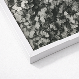White Framed Black Floral Print Karl Blossfeldt, Achillea Millefolium, Monochromatic Tapestry