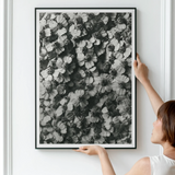 Achillea Millefolium (common Yarrow) - Karl Blossfeldt Art Print / Canvas Framed Black White Photograph Densely Clustered Flower Petals