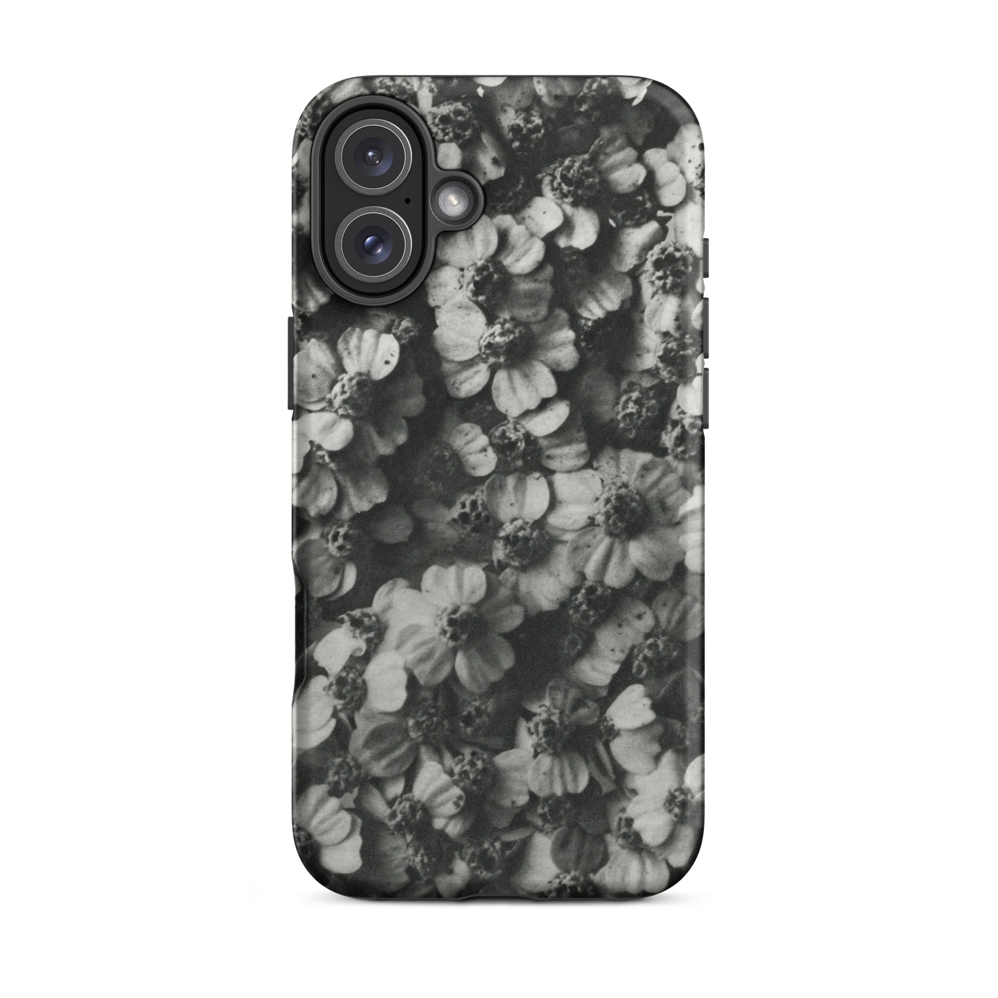 Achillea Millefolium (common Yarrow) - Karl Blossfeldt Iphone Case, 16 Plus / Matte, Floral-patterned Phone Case