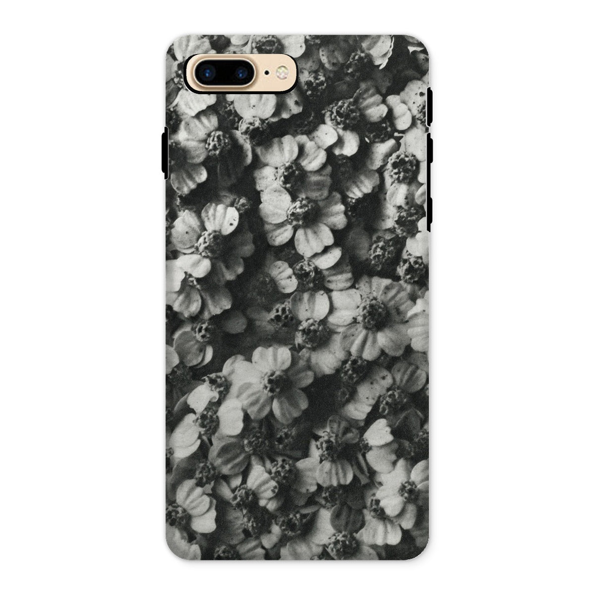 Achillea Millefolium (common Yarrow) - Karl Blossfeldt Iphone Case, 8 Plus / Matte, Floral-patterned Phone Case Iphone 7 Black White