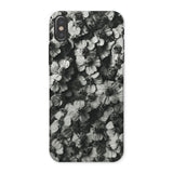 Achillea Millefolium (common Yarrow) - Karl Blossfeldt Phone Case, Iphone x / Matte, Mobile Cases, Toby Leon