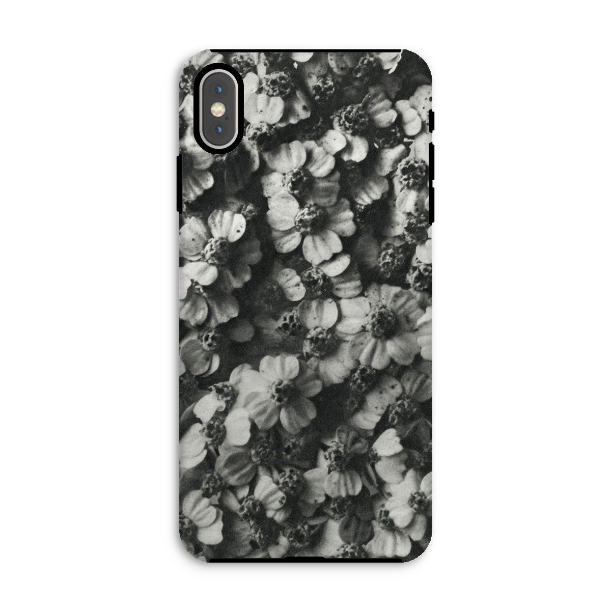 Achillea Millefolium (common Yarrow) Karl Blossfeldt Iphone Case, Xs Max / Matte, Phone Case Black White Floral Pattern