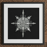 Actiniae - Ernst Haeckel Ocean Life Art Print / Canvas, 12x12’’ / 31x31cm / Black Frame / Matboard, Posters Prints & Visual Artwork, Toby