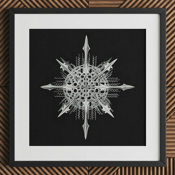 Actiniae - Ernst Haeckel Ocean Life Art Print / Canvas, 12x12’’ / 31x31cm / Black Frame / Matboard, Posters Prints & Visual Artwork, Toby