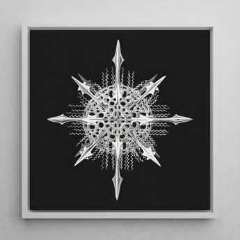 Actiniae - Ernst Haeckel Ocean Life Art Print / Canvas, 12x12’’ / 31x31cm / White Frame, Posters Prints & Visual Artwork, Toby Leon