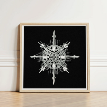 Actiniae - Ernst Haeckel Ocean Life Art Print / Canvas Framed Black-and-white Artwork Intricate Metallic Silver Snowflake Design Haeckel’s,