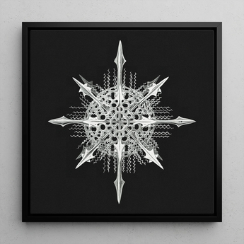 Actiniae - Ernst Haeckel Ocean Life Art Print / Canvas Black-framed Artwork Detailed Silver Metallic Snowflake Design Intricate Ernst