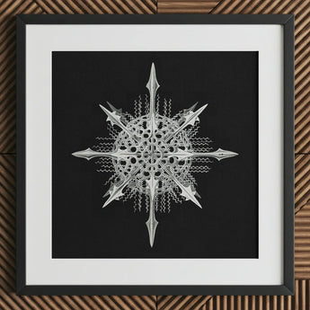 Actiniae - Ernst Haeckel Ocean Life Art Print / Canvas Detailed Silver Metallic Snowflake Artwork Intricate Symmetrical Patterns Haeckel’s,