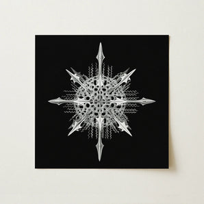 Actiniae - Ernst Haeckel Ocean Life Art Print / Canvas Silver Intricately Designed Snowflake Artwork Sharp Angular Points Ernst Haeckel’s