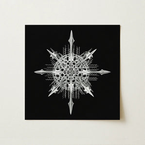 Actiniae - Ernst Haeckel Ocean Life Art Print / Canvas Silver Intricately Designed Snowflake Artwork Sharp Angular Points Haeckel’s,