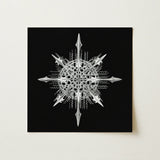 Actiniae - Ernst Haeckel Ocean Life Art Print / Canvas Silver Intricately Designed Snowflake Artwork Sharp Angular Points Haeckel’s,