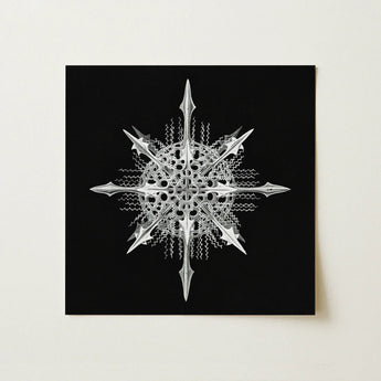 Actiniae - Ernst Haeckel Ocean Life Art Print / Canvas Silver Intricately Designed Snowflake Artwork Sharp Angular Points Haeckel’s,