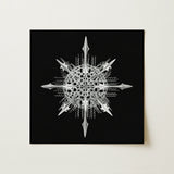 Actiniae - Ernst Haeckel Ocean Life Art Print / Canvas Silver Intricately Designed Snowflake Artwork Sharp Angular Points Ernst Haeckel’s