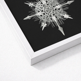 Actiniae - Ernst Haeckel Ocean Life Art Print / Canvas Silver Intricately Designed Snowflake Artwork Sleek White Frame Haeckel’s, Hypnotic