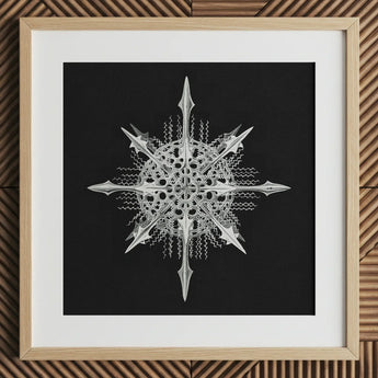 Actiniae - Ernst Haeckel Ocean Life Art Print / Canvas Silver Intricately Detailed Snowflake Artwork Light Wood Frame Ernst Haeckel’s