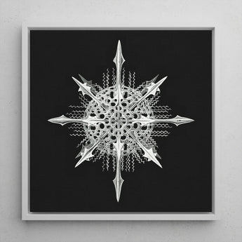 Actiniae - Ernst Haeckel Ocean Life Art Print / Canvas Silver Intricately Detailed Snowflake Artwork Sharp Symmetrical Spikes Haeckel’s,