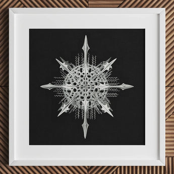 Actiniae - Ernst Haeckel Ocean Life Art Print / Canvas Silver Intricately Detailed Snowflake Artwork White Frame Haeckel’s, Hypnotic Marine