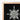 Silver Intricately Detailed Snowflake Design Printed Black Canvas Ernst Haeckel’s Actiniae, Print, Hypnotic Marine Masterpiece