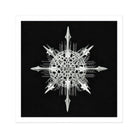 Actiniae - Ernst Haeckel Ocean Life Art Print, Intricate White Snowflake Eight Pointed Spikes Delicate Crystalline