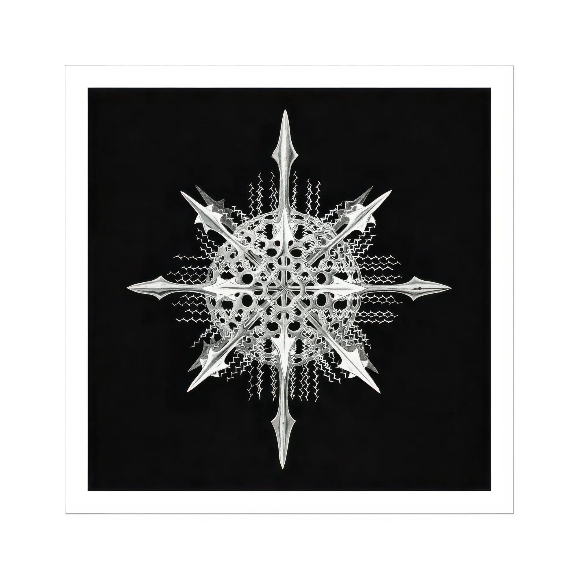 Actiniae - Ernst Haeckel Ocean Life Art Print, Intricate White Snowflake Eight Pointed Spikes Delicate Crystalline