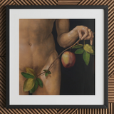 Adam - Albrecht Durer kunstprint / canvas, 12x12’’ / 31x31cm / Zwart frame / passe-partout, posterprints & visuele kunstwerken, Toby Leon