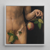 Adam - Albrecht Durer kunstprint / canvas, 12x12’’ / 31x31cm / Wit frame, posterprints & visuele kunstwerken, Toby Leon