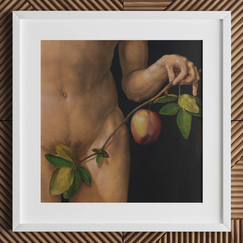 Adam - Albrecht Durer kunstprint / canvas, 12x12’’ / 31x31cm / Wit frame / passe-partout, posterprints & visuele kunstwerken, Toby Leon