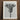 Black-and-white Framed Botanical Print Detailed Monochromatic Depiction Allium Karl Blossfeldt, Ostroroskianum, Blossfeldt’s Meticulous