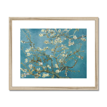 Almond Blossom - Vincent Van Gogh Art Print, Framed Painting Almond Branches