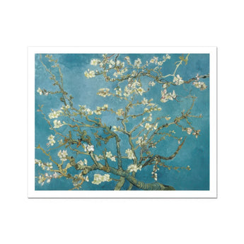 Almond Blossom - Vincent Van Gogh Art Print, Almond Tree Branches Delicate White Flowers Turquoise Sky