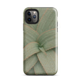 Aloe Pattern Phone Case Iphone 11 Pro Max / Gloss Sleek Phone Case Detailed Light Green Succulent Leaf Aloe Vera Succulent, Star-shaped