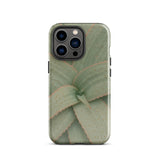 Aloe Pattern Phone Case Iphone 13 Pro / Gloss Sleek Matte-finish Phone Case Detailed Print Light Green Aloe Vera Succulent, Star-shaped