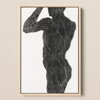Anatomical Study of a Man’s Back and Butt Muscles - Reijer Stolk Art Print / Canvas Black White Muscle Diagram Light Wood, Turns, Posterior