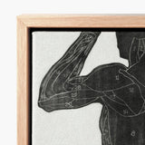 Framed Anatomical Muscle Diagram Print Detailed Black-and-white Illustration Reijer Stolk, Study, Butt Muscles, Turns, Posterior Silhouette