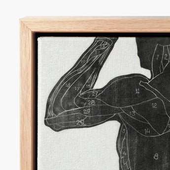 Framed Anatomical Muscle Diagram Print Detailed Black-and-white Illustration Reijer Stolk, Study, Butt Muscles, Turns, Posterior Silhouette