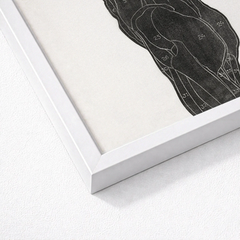 White Framed Black Anatomical Illustration Print Reijer Stolk, Study, Butt Muscles, Turns, Posterior Silhouette Rises, Dense Lithographic,
