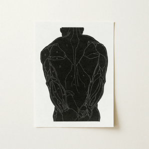 Anatomical Study of a Man’s Back Muscles - Reijer Stolk Art Print / Canvas, 12x16’’ / 31x41cm / Unframed / no Border, Posters Prints &