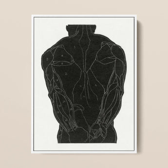 Anatomical Study of a Man’s Back Muscles - Reijer Stolk Art Print / Canvas Black Muscle Diagram Poster White Line Framed, Figure Stands