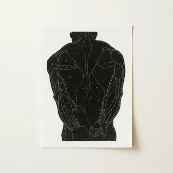Anatomical Study of a Man’s Back Muscles - Reijer Stolk Art Print / Canvas Black Muscle Diagram White Paper, Figure Stands Square,