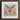 Angel Muff Wasp - Alien Species Insect Taxonomy Art Print, 12x12’’ / 31x31cm / Black Frame / 2’’ Matboard, Framed Symmetrical Artwork