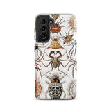 Arachnida - Ernst Haeckel Spider Taxonomy Phone Case, Samsung Galaxy S21 / Matte, Mobile Cases, Toby Leon