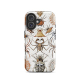 Arachnida - Ernst Haeckel Spider Taxonomy Phone Case Iphone 16 / Matte Spider-patterned Phone Case Ernst Haeckel Spider, Spider Taxonomy,
