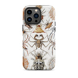 Arachnida - Ernst Haeckel Spider Taxonomy Phone Case Iphone 14 Pro Max / Matte Spider-themed Phone Case Ernst Haeckel Spider, Spider