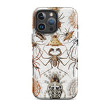 Arachnida - Ernst Haeckel Spider Taxonomy Phone Case Iphone 16 Pro Max / Matte Spider-themed Phone Case Ernst Haeckel Spider, Spider